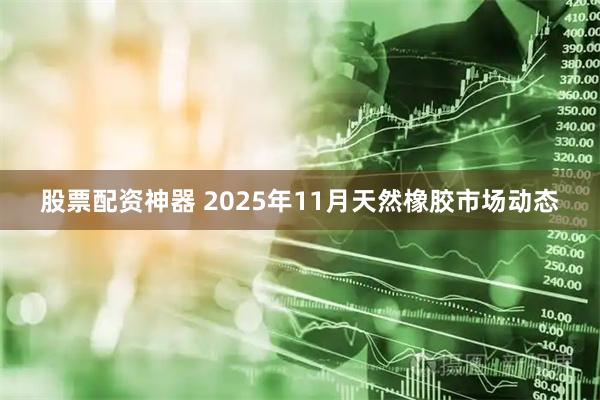 股票配资神器 2025年11月天然橡胶市场动态