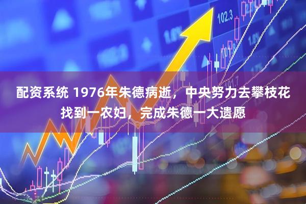 配资系统 1976年朱德病逝，中央努力去攀枝花找到一农妇，完成朱德一大遗愿